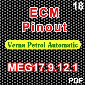 Verna Petrol Automatic ECM Pinouts-MEG17.9.12-03202